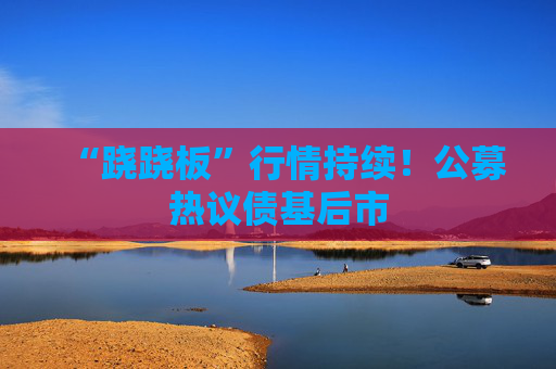 “跷跷板”行情持续！公募热议债基后市