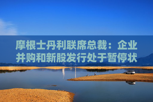 摩根士丹利联席总裁：企业并购和新股发行处于暂停状态