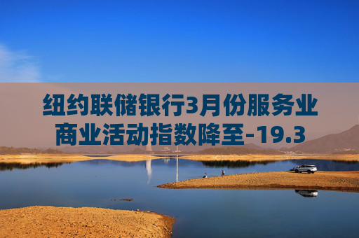 纽约联储银行3月份服务业商业活动指数降至-19.3