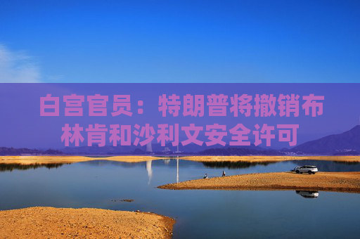 白宫官员：特朗普将撤销布林肯和沙利文安全许可