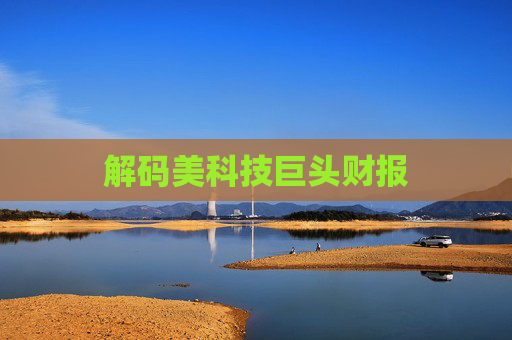 解码美科技巨头财报