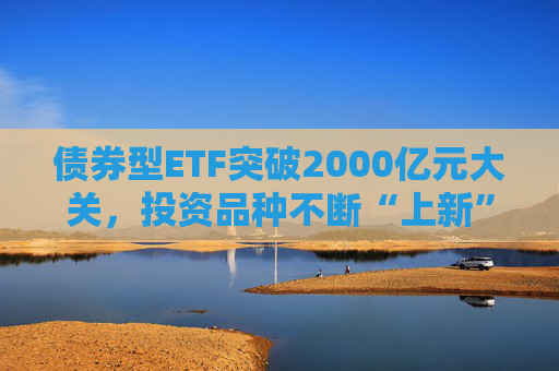 债券型ETF突破2000亿元大关，投资品种不断“上新”，机构：虽然2025年债市趋势仍在，但波动明显上升