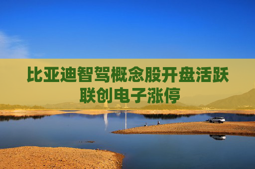 比亚迪智驾概念股开盘活跃 联创电子涨停