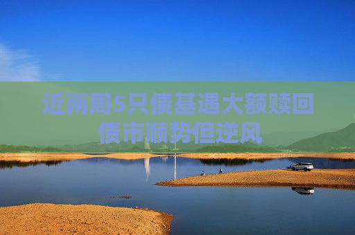 近两周5只债基遇大额赎回 债市顺势但逆风