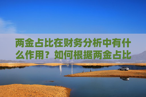 两金占比在财务分析中有什么作用？如何根据两金占比评估企业的财务状况？