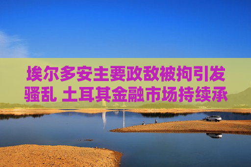埃尔多安主要政敌被拘引发骚乱 土耳其金融市场持续承压