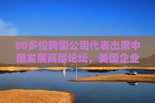 80多位跨国公司代表出席中国发展高层论坛，美国企业最多，中国仍然是跨国投资的高地
