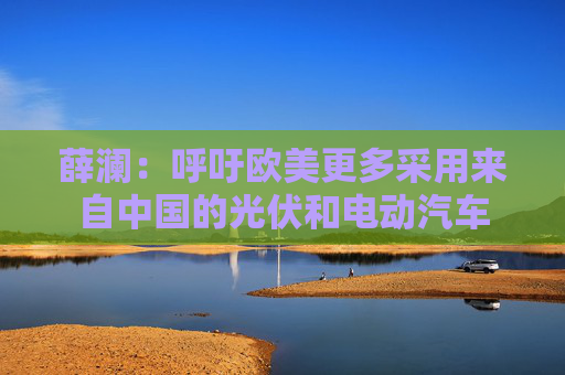 薛澜：呼吁欧美更多采用来自中国的光伏和电动汽车