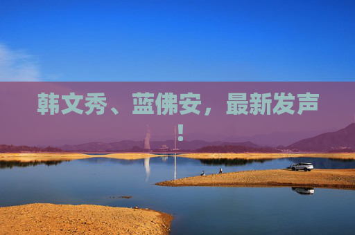 韩文秀、蓝佛安，最新发声！