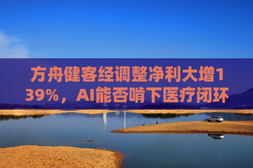 方舟健客经调整净利大增139%，AI能否啃下医疗闭环“硬骨头”？