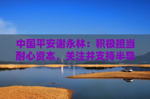 中国平安谢永林：积极担当耐心资本，关注并支持半导体、新能源、AI科技等产业发展
