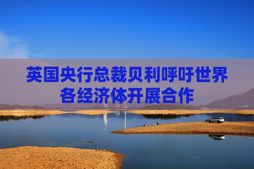 英国央行总裁贝利呼吁世界各经济体开展合作