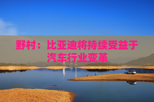 野村：比亚迪将持续受益于汽车行业变革