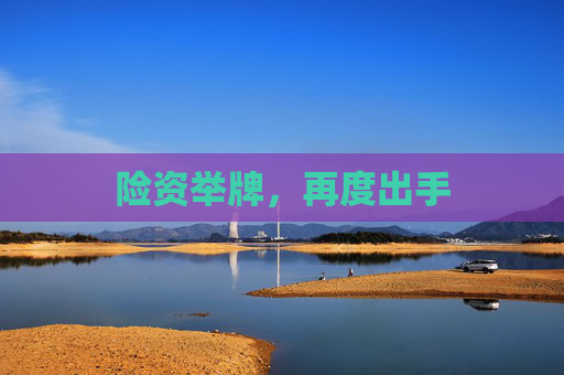险资举牌，再度出手