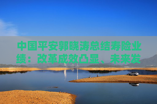 中国平安郭晓涛总结寿险业绩：改革成效凸显、未来发展基础持续向好、寿险进入黄金发展期