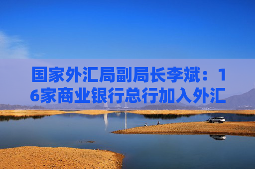 国家外汇局副局长李斌：16家商业银行总行加入外汇展业改革 今年还会进一步扩大覆盖面