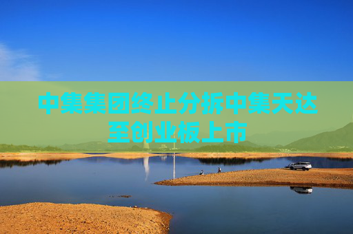 中集集团终止分拆中集天达至创业板上市