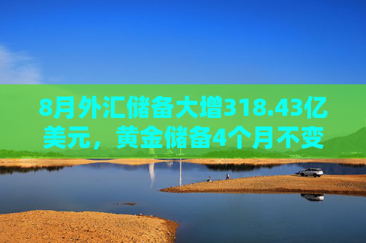 8月外汇储备大增318.43亿美元，黄金储备4个月不变