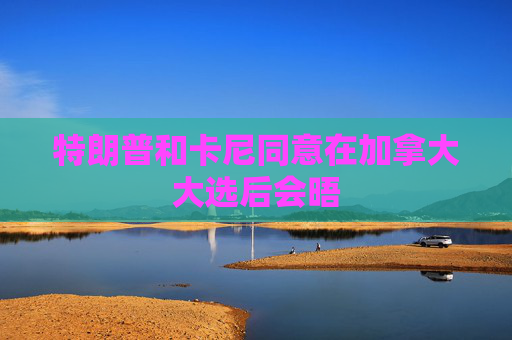 特朗普和卡尼同意在加拿大大选后会晤