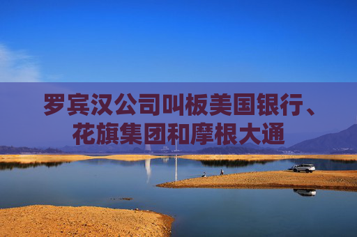 罗宾汉公司叫板美国银行、花旗集团和摩根大通