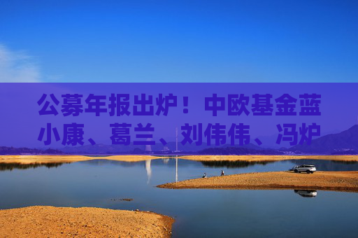 公募年报出炉！中欧基金蓝小康、葛兰、刘伟伟、冯炉丹最新观点一览