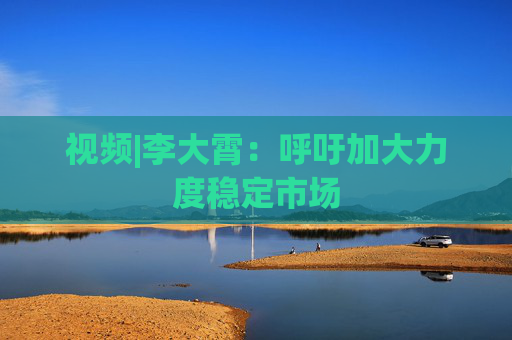 视频|李大霄：呼吁加大力度稳定市场