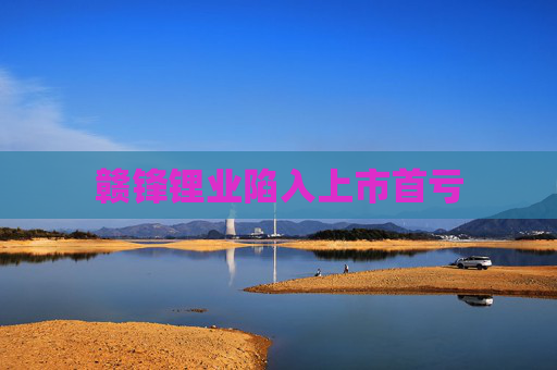 赣锋锂业陷入上市首亏