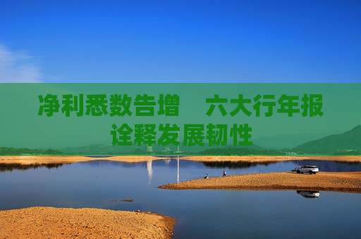 净利悉数告增　六大行年报诠释发展韧性