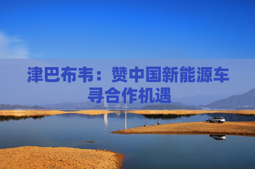 津巴布韦:赞中国新能源车 寻合作机遇