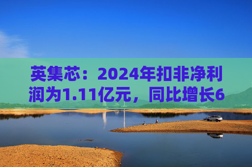 英集芯：2024年扣非净利润为1.11亿元，同比增长607.94%