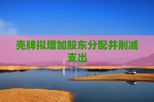 壳牌拟增加股东分配并削减支出
