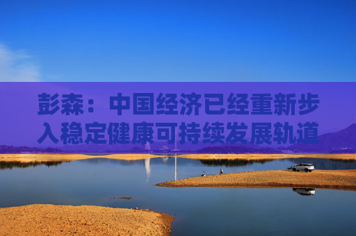 彭森：中国经济已经重新步入稳定健康可持续发展轨道