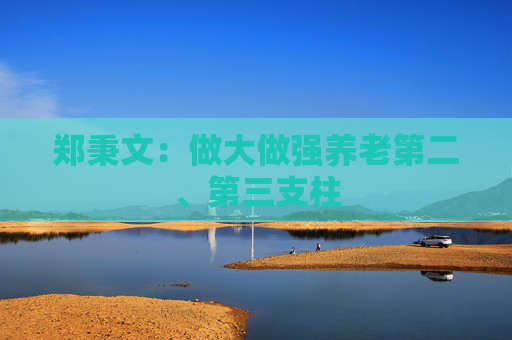 郑秉文：做大做强养老第二、第三支柱