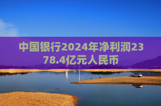 中国银行2024年净利润2378.4亿元人民币