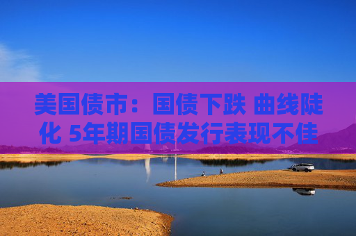 美国债市：国债下跌 曲线陡化 5年期国债发行表现不佳