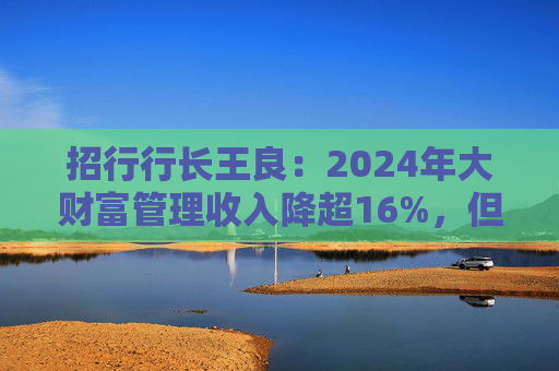 招行行长王良：2024年大财富管理收入降超16%，但降幅逐季改善