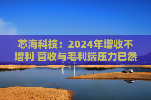 芯海科技：2024年增收不增利 营收与毛利端压力已然出清 激进搞研发、扩存货备战下轮周期