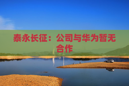 泰永长征：公司与华为暂无合作