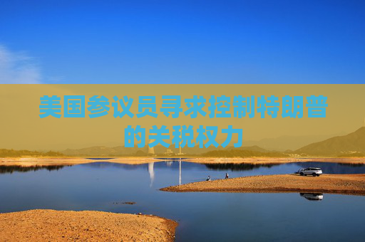 美国参议员寻求控制特朗普的关税权力