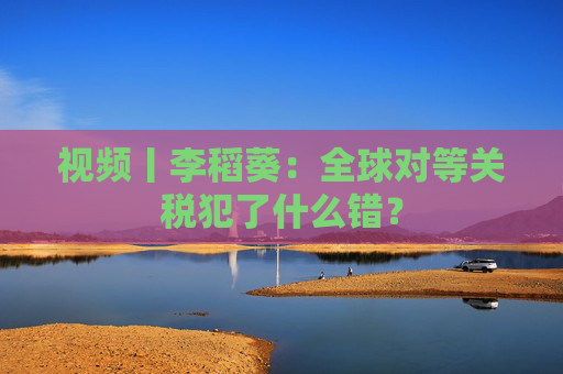 视频丨李稻葵：全球对等关税犯了什么错？