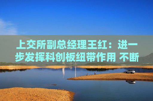 上交所副总经理王红：进一步发挥科创板纽带作用 不断优化创投生态