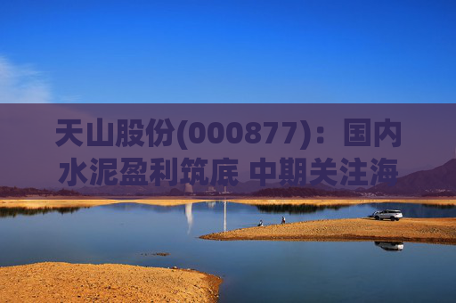天山股份(000877)：国内水泥盈利筑底 中期关注海外进展