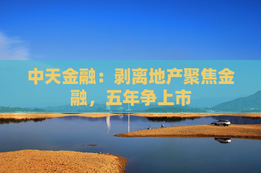 中天金融：剥离地产聚焦金融，五年争上市
