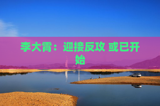 李大霄：迎接反攻 或已开始