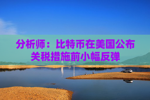 分析师：比特币在美国公布关税措施前小幅反弹