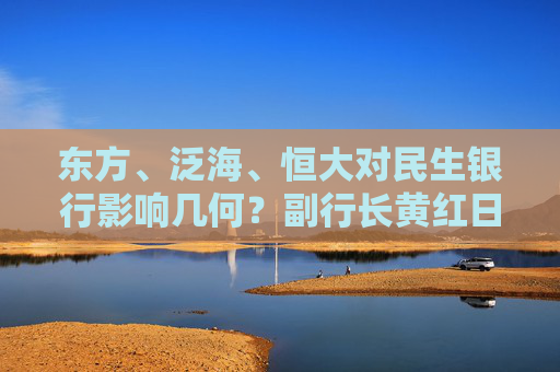 东方、泛海、恒大对民生银行影响几何？副行长黄红日：已进行拨备计提，不会产生重大影响