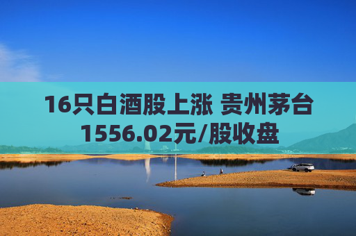 16只白酒股上涨 贵州茅台1556.02元/股收盘
