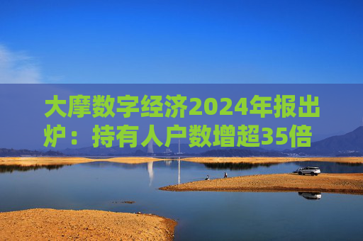 大摩数字经济2024年报出炉：持有人户数增超35倍 继续看好智算基础设施及AI应用