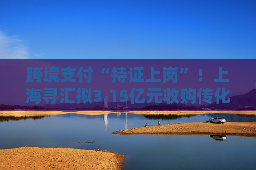 跨境支付“持证上岗”！上海寻汇拟3.15亿元收购传化支付，多家跨境支付服务商布局境内支付牌照