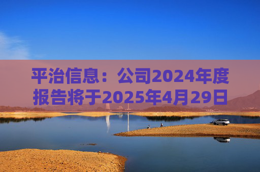 平治信息：公司2024年度报告将于2025年4月29日披露
